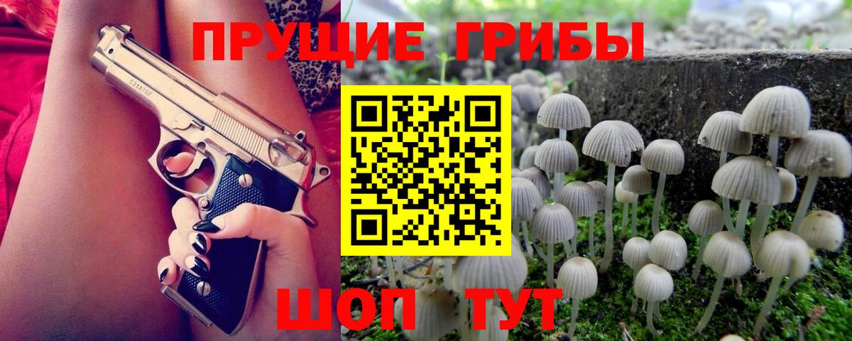 Галлюциногенные грибы GOLDEN TEACHER  Вход с VPN  Галлюциногенные грибы GOLDEN TEACHER  Кемерово 